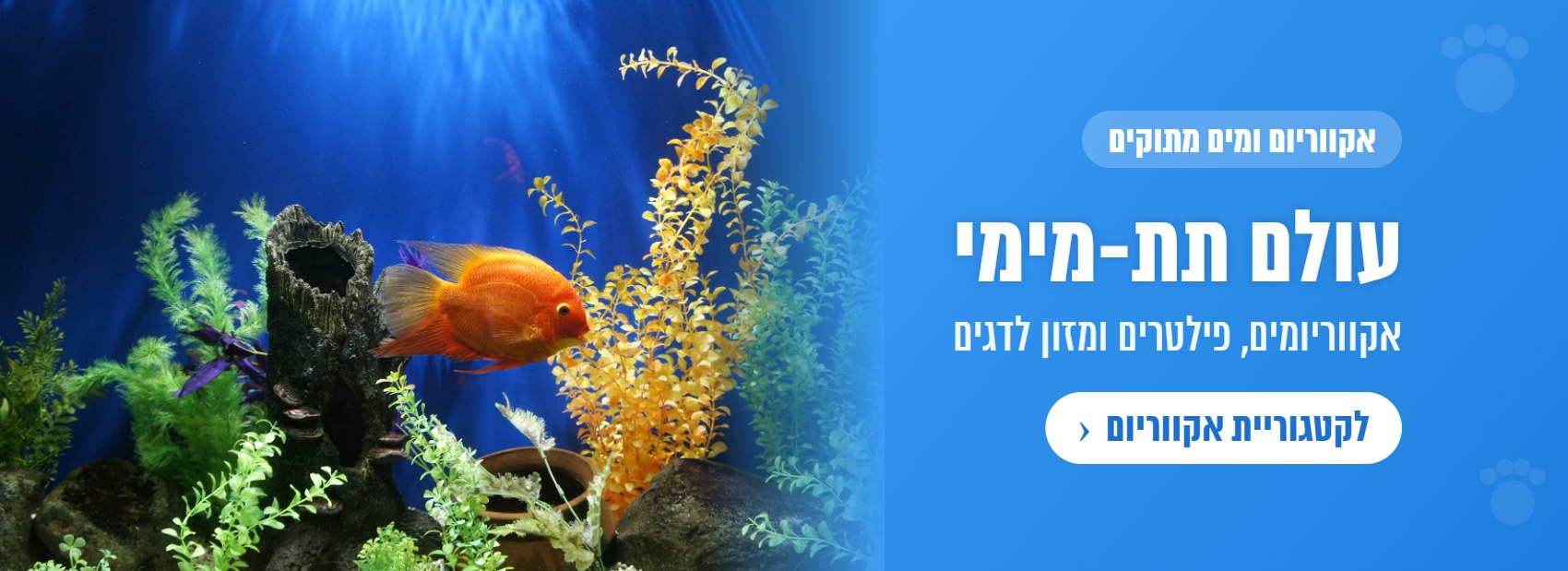 אקווריום ומים מתוקים