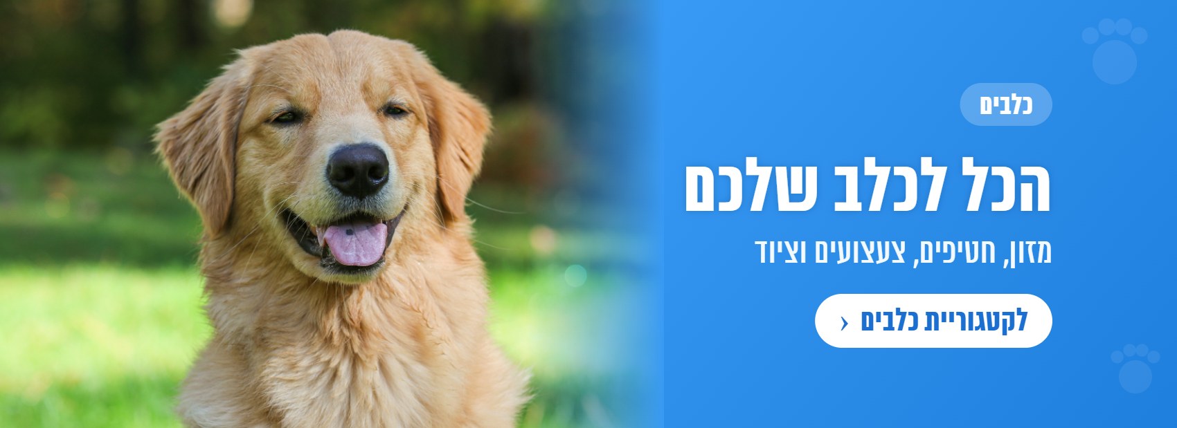 כלבים – הכל לכלב שלכם