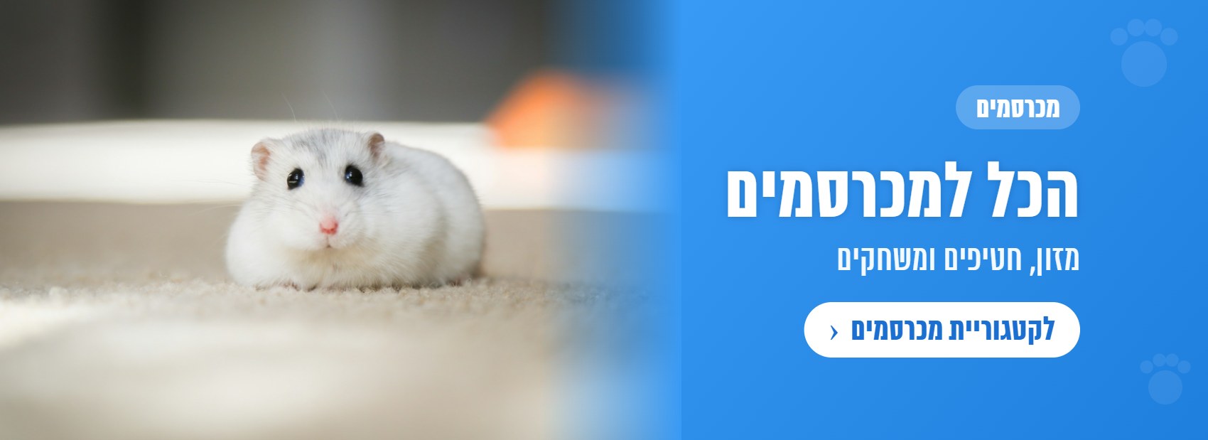 מכרסמים